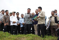 Deru Pastikan Cetak Sawah Berjalan Sesuai Target