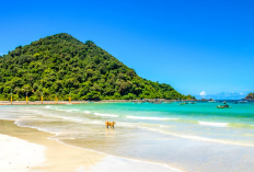 Pantai Selong Belanak: Surga Tersembunyi yang Wajib Masuk Feed Instagram Kamu