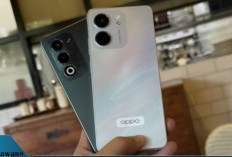 Oppo A5 dan A5x Resmi Hadir di Indonesia: HP Tangguh Harga Terjangkau, Cek Spesifikasi Lengkap dan Harganya!