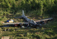 Membuka Tabir Penemuan Bersejarah, Bangkai Pesawat Perang Dunia II Ditemukan di Hutan Keramat Papua