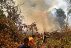 Kebakaran Lahan Terjadi di Dekat SMA Nyaris Sambar Area Pemakaman