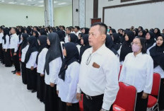 Kabar Baik! Puluhan Instansi Pusat Sahkan NIP CPNS dan PPPK 2024