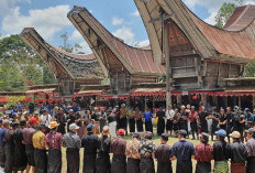 3 Misteri Suku Toraja yang Banyak Tidak Diketahui Orang