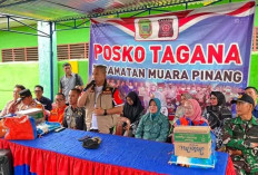 Pj Bupati Tinjau Lokasi Kebakaran di Desa Lubuk Tanjung