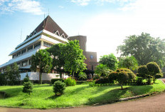 Masih Dibuka! IPB Buka Pendaftaran Jalur Kelas Internasional 2025, Ini 13 Jurusan dan Syarat Lengkapnya