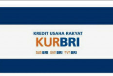 Bank BRI Tawarkan Kredit Usaha Rakyat (KUR) untuk Kembangkan UMKM