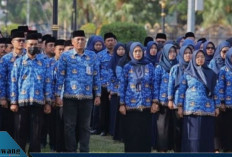 PPPK Paruh Waktu 2025 Resmi Dilantik, Ini Daftar 7 Jabatan yang Bisa Diisi