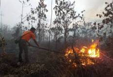 Mura dan OI Siaga Darurat Karhutla