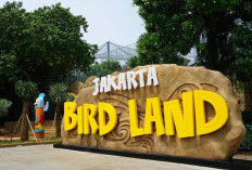 Keren Banget, Ini 10 Rekomendasi Wisata Jakarta Terbaru 2024