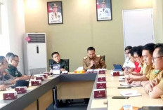 Sumsel Tetapkan Status Siaga Darurat Karhutla