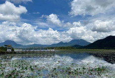 Wisata Tersembunyi di Singkawang! Danau Ini Tantang Nyali Para Petualang dan Pemancing