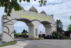 Kabar Gembira! Lulusan SMA di Paser Berpeluang Dapat Beasiswa Penuh ke Sekolah Kedinasan, Lulus Langsung Jadi 