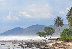 5 Rekomendasi Tempat Wisata Alam di Ciamis yang Sayang Dilewatkan