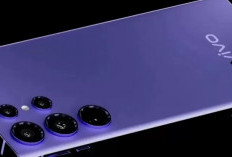 Vivo Y500 Siap Meluncur, Usung Baterai Jumbo 8.200 mAh dan Layar AMOLED 120Hz