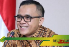 MenPAN RB Tegaskan, Dua Kategori Tenaga Honorer Ini Tak Bisa Diangkat Jadi PPPK Tahun 2024, Apa Saja?