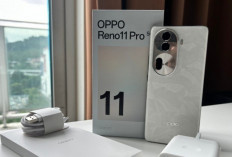 OPPO Reno 11 Pro 5G Turun Harga Lagi, Kini Bisa Dibeli Lebih Murah!