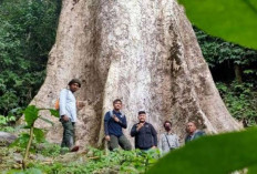 Bikin Bulu Kuduk Berdiri, Ini 3 Desa Paling Angker di Sumatera Selatan 