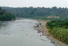 Kemarau, Warga Manfaatkan Sungai Musi