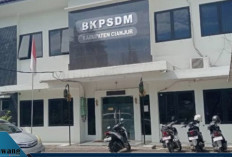Puluhan Guru PPPK Ramai-Ramai Ajukan Gugatan Cerai: Antara Kemandirian Finansial dan Retaknya Rumah Tangga