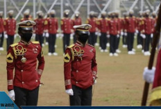 Pendaftaran Sekolah Kedinasan 2025: STIN Sepi Peminat, Ribuan Pelamar Gagal Verifikasi