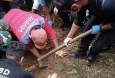 Polisi Terus Buru Pelaku Pemb*n*han Penjual Gorengan di Padang Pariaman