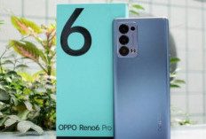 Mewah dan Bertenaga! Rekomendasi HP OPPO Layar Lengkung Terbaik