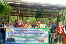 Distribusikan Bibit Ayam KUB untuk Kelompok Tani