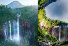 Harga Tiket Masuk Air Terjun Tumpak Sewu Naik Jadi Rp 100.000, Wisatawan Lokal dan Asing Sama-Sama Bayar!