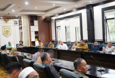 BPK Periksa LKPD Pagaralam Tahun 2024