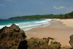 Pesona Wisata Pacitan: Surganya Healing di Pesisir Selatan Jawa