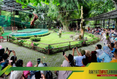 Belajar dan Bermain di Ibarbo Park Sleman: Kota Kartun Pertama di Jogja yang Penuh Edukasi!