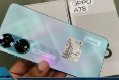 Rekomendasi HP OPPO Murah Terlaris Juni 2025: RAM 8GB, Harga Mulai Rp 2 Jutaan Saja!