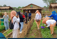 Jelang PEDA KTNA ke-16 Tahun 2025, Pulo Mas Empat Lawang Bersolek Jadi Ikon Wisata Baru