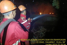BPBD Imbau Masyarakat Sumsel Tak Bakar Lahan di Musim Kemarau