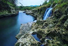 Ini 11 Rekomendasi Wisata di Jambi yang Harus Dikunjungi, Ada Apa Aja Yah