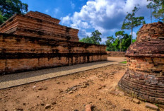 Perkembangan Pesat Desa Wisata di Jambi: 4 Desa Terbaik yang Wajib Dikunjungi