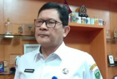 Kasus DBD di Sumsel Meningkat