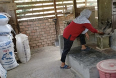 Omzet Penggilingan Padi Naik Tiga Kali Lipat