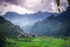 Menemukan Surga Tersembunyi di Pegunungan Muria: Pesona Desa Wisata Tempur