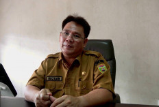 DKPP Sumsel: Target Tahun ini 75 Peternakan Ayam Petelur Tersertifikasi