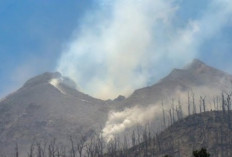 Gunung Lewotobi Meletus: 10 Tewas, Puluhan Luka-luka, dan Ribuan Mengungsi