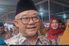 Angin Segar untuk Guru Honorer! Insentif Rp400 Ribu per Bulan Resmi Cair, Negara Akhirnya Hadir