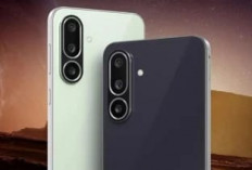 Samsung Galaxy F56 Resmi Dirilis! Smartphone Tipis dengan Galaxy AI dan Android 15, Siap Gebrak Pasar