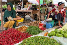 Harga Cabai di Pasar Pulau Emas Turun