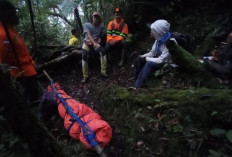 Begini Kronologi Pendaki Gunung Dempo Meninggal Dunia, Simal Ini Penyebabnya!