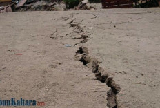 Gempa Terkini Guncang Banggai Kepulauan, Sulawesi 