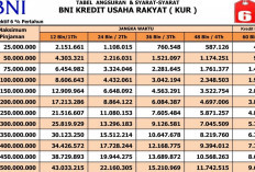 Pengajuan KUR BNI Maksimal Rp 500 Juta: Apakah Harus Ada Jaminan? Berikut Tabel Angsuran Dan Syaratnya