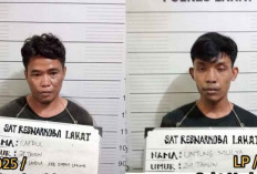Dua Warga Empat Lawang Bisnis Ganja di Lahat