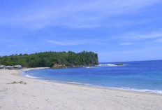 Pantai Tambakrejo, Surga Tersembunyi di Blitar dengan Pasir Putih dan Tradisi Budaya Unik