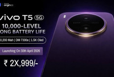 Vivo Y600 Pro Siap Meluncur, Usung Baterai 10.200 mAh dan Desain Tetap Ramping